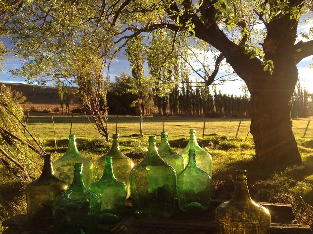 Estancia Santa Thelma Bed and Breakfast Casa Riera Buitenkant foto